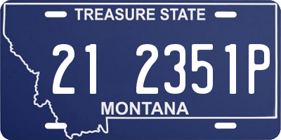 MT license plate 212351P