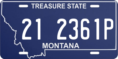 MT license plate 212361P