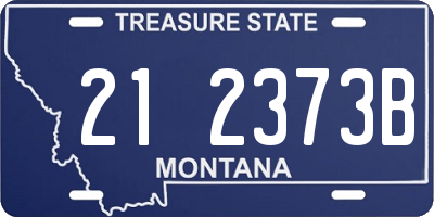 MT license plate 212373B