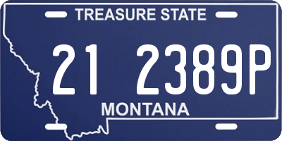 MT license plate 212389P