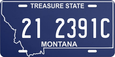 MT license plate 212391C