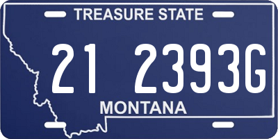 MT license plate 212393G