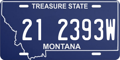 MT license plate 212393W
