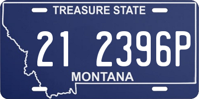 MT license plate 212396P