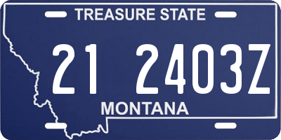 MT license plate 212403Z