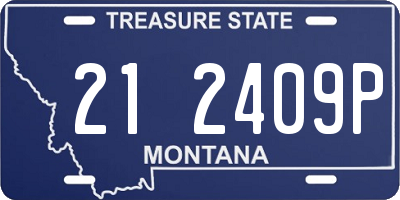 MT license plate 212409P