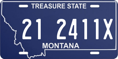 MT license plate 212411X