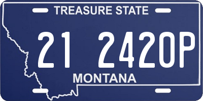 MT license plate 212420P