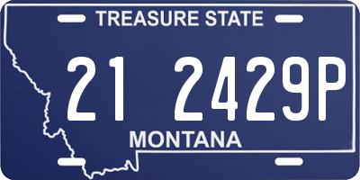 MT license plate 212429P