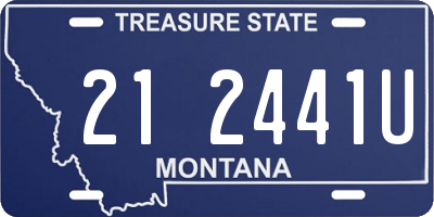 MT license plate 212441U