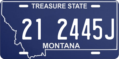 MT license plate 212445J
