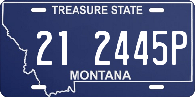 MT license plate 212445P