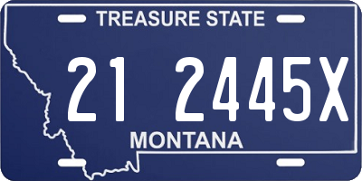 MT license plate 212445X