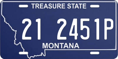 MT license plate 212451P