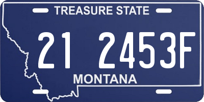 MT license plate 212453F