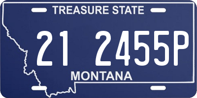 MT license plate 212455P
