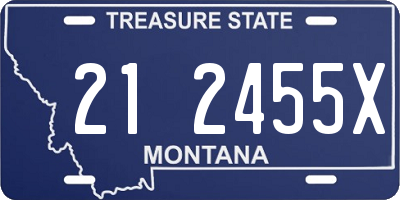 MT license plate 212455X