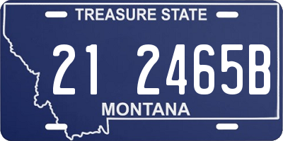 MT license plate 212465B