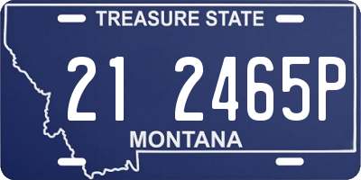 MT license plate 212465P