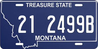 MT license plate 212499B