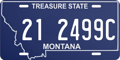 MT license plate 212499C