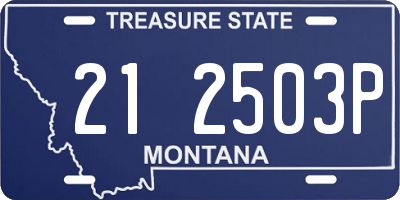 MT license plate 212503P