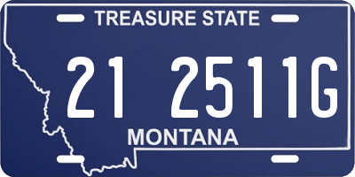 MT license plate 212511G