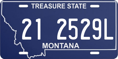 MT license plate 212529L