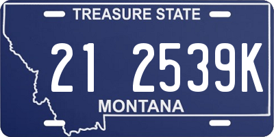 MT license plate 212539K
