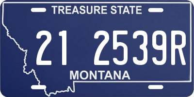MT license plate 212539R