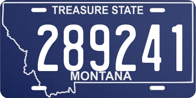 MT license plate 289241