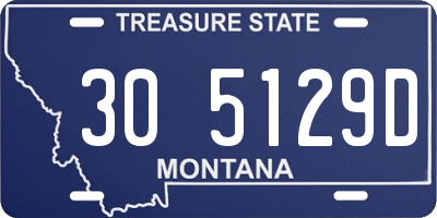 MT license plate 305129D