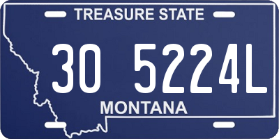 MT license plate 305224L