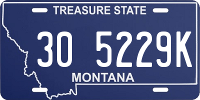 MT license plate 305229K