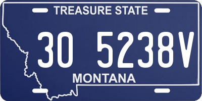 MT license plate 305238V