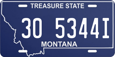 MT license plate 305344I