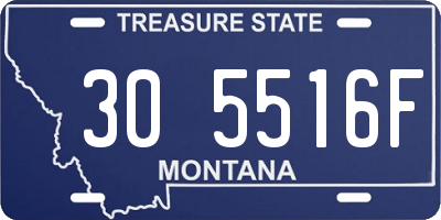 MT license plate 305516F