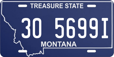 MT license plate 305699I