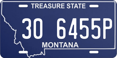 MT license plate 306455P