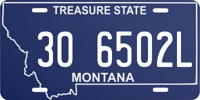 MT license plate 306502L