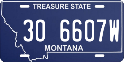 MT license plate 306607W