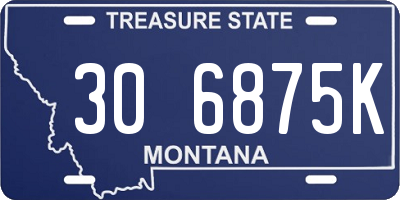 MT license plate 306875K