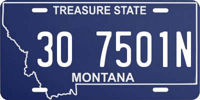 MT license plate 307501N