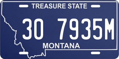 MT license plate 307935M