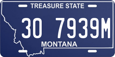 MT license plate 307939M
