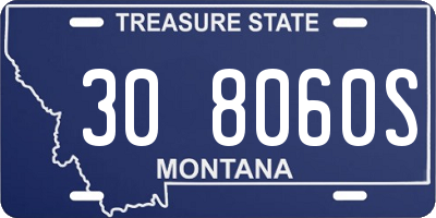 MT license plate 308060S