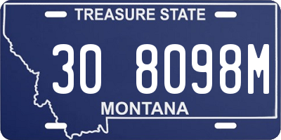 MT license plate 308098M