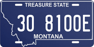 MT license plate 308100E