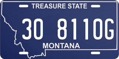 MT license plate 308110G