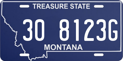 MT license plate 308123G